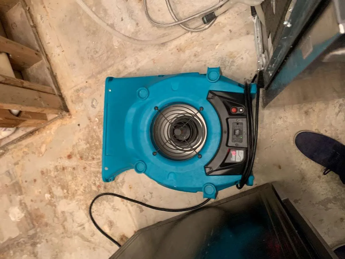 Air mover drying equipment for Mold Remediation & Removal in Cazenovia